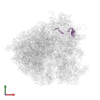 Small ribosomal subunit protein eS24A in PDB entry 5jup, assembly 1, front view.