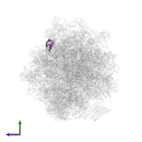 Small ribosomal subunit protein eS24A in PDB entry 5jup, assembly 1, side view.