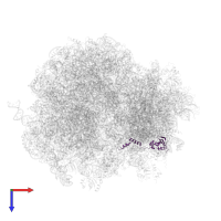 Small ribosomal subunit protein eS24A in PDB entry 5jup, assembly 1, top view.