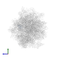 Large ribosomal subunit protein eL6A in PDB entry 5jus, assembly 1, side view.