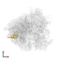 Large ribosomal subunit protein uL30A in PDB entry 5jus, assembly 1, front view.