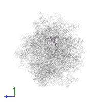 Large ribosomal subunit protein uL22A in PDB entry 5jus, assembly 1, side view.