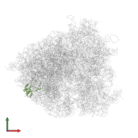 Large ribosomal subunit protein eL18A in PDB entry 5jus, assembly 1, front view.