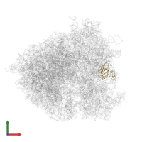Small ribosomal subunit protein uS5 in PDB entry 5jus, assembly 1, front view.