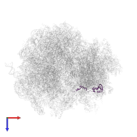 Small ribosomal subunit protein eS24A in PDB entry 5jus, assembly 1, top view.