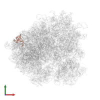 Large ribosomal subunit protein uL24A in PDB entry 5juu, assembly 1, front view.