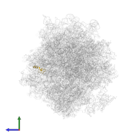 Ubiquitin-ribosomal protein eL40A fusion protein in PDB entry 5juu, assembly 1, side view.