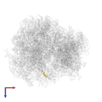 Ubiquitin-ribosomal protein eL40A fusion protein in PDB entry 5juu, assembly 1, top view.