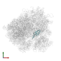 Small ribosomal subunit protein eS1A in PDB entry 5juu, assembly 1, front view.