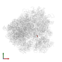 Modified residue DDE in PDB entry 5juu, assembly 1, front view.
