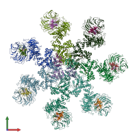 PDB entry 5juy coloured by chain, front view.