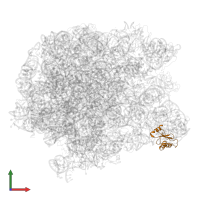 Large ribosomal subunit protein uL18 in PDB entry 5jvg, assembly 1, front view.