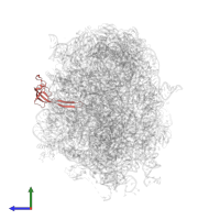 Large ribosomal subunit protein bL21 in PDB entry 5jvg, assembly 1, side view.