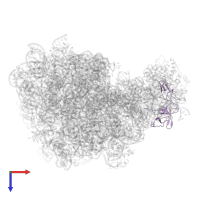 Large ribosomal subunit protein bL25 in PDB entry 5jvg, assembly 1, top view.