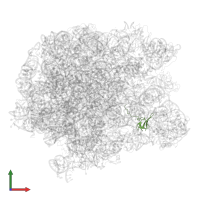 Large ribosomal subunit protein bL27 in PDB entry 5jvg, assembly 1, front view.