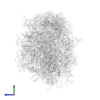 Large ribosomal subunit protein bL28 in PDB entry 5jvg, assembly 1, side view.