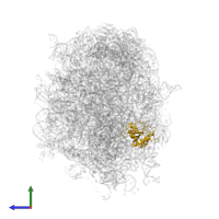 Large ribosomal subunit protein uL5 in PDB entry 5jvg, assembly 1, side view.