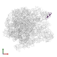 Large ribosomal subunit protein uL11 in PDB entry 5jvg, assembly 1, front view.
