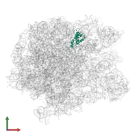 Large ribosomal subunit protein uL13 in PDB entry 5jvg, assembly 1, front view.