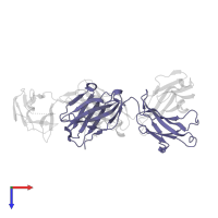 Pembrolizumab Fab heavy chain in PDB entry 5jxe, assembly 1, top view.