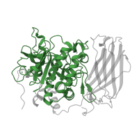 The deposited structure of PDB entry 5jxh contains 1 copy of Pfam domain PF00082 (Subtilase family) in Furin. Showing 1 copy in chain A.