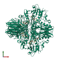 Homo tetrameric assembly 1 of PDB entry 5jya coloured by chemically distinct molecules, front view.