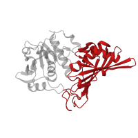 The deposited structure of PDB entry 5jye contains 4 copies of CATH domain 3.30.360.10 (Dihydrodipicolinate Reductase; domain 2) in Glyceraldehyde-3-phosphate dehydrogenase. Showing 1 copy in chain D.