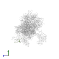 Ubiquitin-ribosomal protein eS31 fusion protein in PDB entry 5k0y, assembly 1, side view.