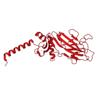 The deposited structure of PDB entry 5k31 contains 6 copies of CATH domain 2.60.120.1000 (Jelly Rolls) in Collagen alpha-1(I) chain. Showing 1 copy in chain A.