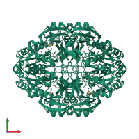 Homo tetrameric assembly 2 of PDB entry 5k3o coloured by chemically distinct molecules, front view.