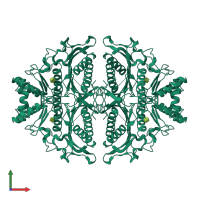 Homo tetrameric assembly 1 of PDB entry 5k55 coloured by chemically distinct molecules, front view.