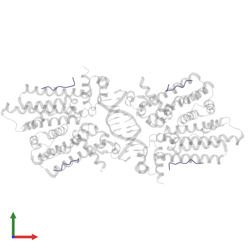 <div class='caption-body'>PDB entry 5k58 contains 4 copies of Octapeptide in assembly 1. This protein is highlighted and viewed from the front.</div>