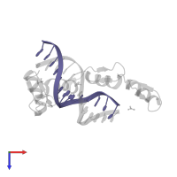 DNA (5'-D(*TP*TP*GP*CP*CP*AP*GP*CP*AP*GP*GP*GP*G)-3') in PDB entry 5k5j, assembly 1, top view.