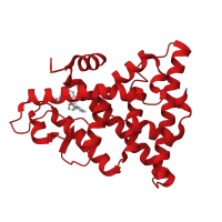 The deposited structure of PDB entry 5kce contains 2 copies of CATH domain 1.10.565.10 (Retinoid X Receptor) in Estrogen receptor. Showing 1 copy in chain B.