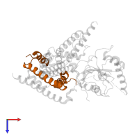 Histone H4 in PDB entry 5kdm, assembly 1, top view.