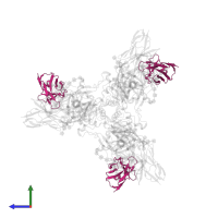 c2G4 variable Fab domain light chain in PDB entry 5kel, assembly 1, side view.