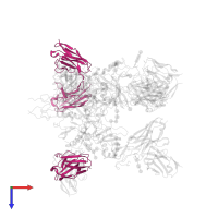 c2G4 variable Fab domain light chain in PDB entry 5kel, assembly 1, top view.