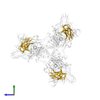 c13C6 variable Fab domain light chain in PDB entry 5kel, assembly 1, side view.