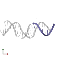 DNA (5'-D(*TP*CP*TP*GP*AP*GP*TP*GP*T)-3') in PDB entry 5keo, assembly 1, front view.