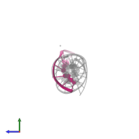 DNA (5'-D(P*GP*GP*TP*CP*TP*GP*C)-3') in PDB entry 5keo, assembly 1, side view.