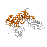 The deposited structure of PDB entry 5kfe contains 1 copy of Pfam domain PF00817 (impB/mucB/samB family) in DNA polymerase eta. Showing 1 copy in chain A.