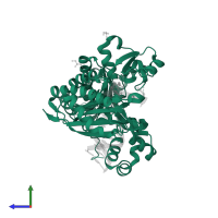 DNA polymerase eta in PDB entry 5kfk, assembly 1, side view.