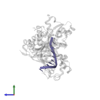 DNA (5'-D(*AP*GP*CP*GP*TP*CP*AP*TP*A)-3') in PDB entry 5kfk, assembly 1, side view.