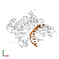 DNA (5'-D(*CP*AP*TP*TP*AP*TP*GP*AP*CP*GP*CP*T)-3') in PDB entry 5kfu, assembly 1, front view.