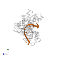 DNA (5'-D(*CP*AP*TP*TP*AP*TP*GP*AP*CP*GP*CP*T)-3') in PDB entry 5kfu, assembly 1, side view.