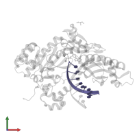 DNA (5'-D(*AP*GP*CP*GP*TP*CP*AP*T)-3') in PDB entry 5kfu, assembly 1, front view.
