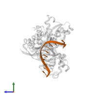 DNA (5'-D(*CP*AP*TP*TP*AP*TP*GP*AP*CP*GP*CP*T)-3') in PDB entry 5kfw, assembly 1, side view.