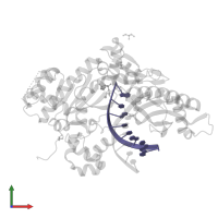 DNA (5'-D(*AP*GP*CP*GP*TP*CP*AP*TP*A)-3') in PDB entry 5kfw, assembly 1, front view.