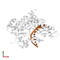 DNA (5'-D(*CP*AP*TP*TP*AP*TP*GP*AP*CP*GP*CP*T)-3') in PDB entry 5kfy, assembly 1, front view.