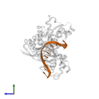 DNA (5'-D(*CP*AP*TP*TP*AP*TP*GP*AP*CP*GP*CP*T)-3') in PDB entry 5kfy, assembly 1, side view.